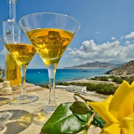 Hotel Naxos 4*