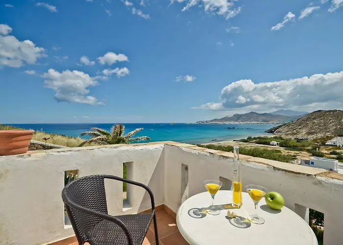 Hotel Naxos Naxos City